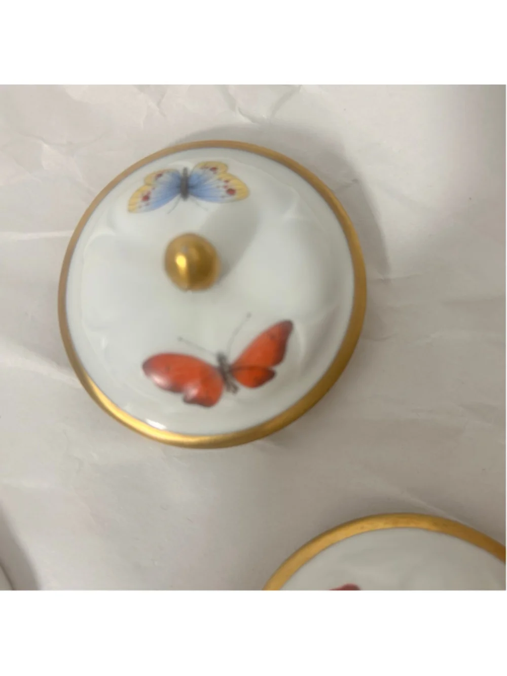 Haviland Limoges elevate your